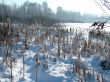 Winter view