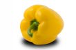 Yellow paprika isolated