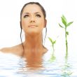 lovely brunette with bamboo in water