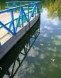 Wooden mooring reflected in water with autumn leaves