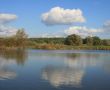 Cloudy sky over yellow autumn forest and pond