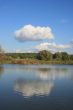 Cloudy sky over yellow autumn forest and pond