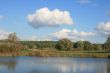 Cloudy sky over yellow autumn forest and pond