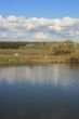 Cloudy sky over yellow autumn forest and pond
