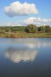 Cloudy sky over yellow autumn forest and pond