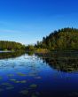 lake in blue