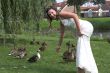 Tempting the ducks in the park