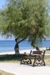 Bench in the park next to the sea and beach