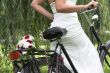 Bouquet on the bike