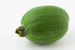Feijoa