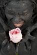 pink rose