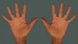 Hands On Grey