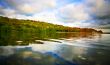The Lake