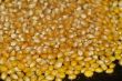 Popcorn to be...