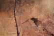 Part of a painting.