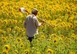Farmer