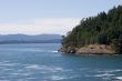 Rocky wooded coastline.