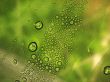 Waterdrops background