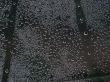 Waterdrops background
