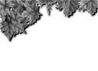 Different kinds of leaves design