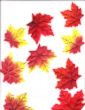 Autumn Leaves Design