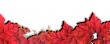 Autumn Leaves Design