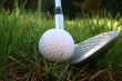 Iron out of the rough 3