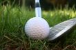 Iron out of the rough 2