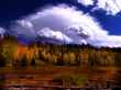 Fall Clouds