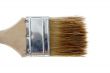 Brush