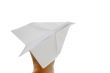 Paper plane