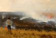 Field On Fire