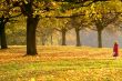 Alone In The Park