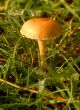 After The Rain