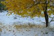 First Snow