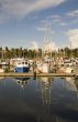 Blue and White Boats at Dock
