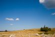 hot landscape