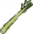 Celery illustration