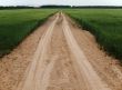 summer field and road