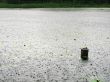 lake under rain