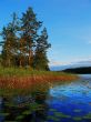 sunset lake