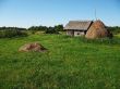 village meadow