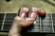 Musical Instrument