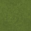 Green grass