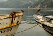 Boats