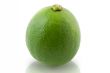 Lime isolated