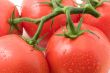 Tomatos