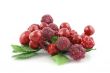 Summer Berries - Close up
