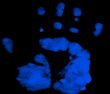 Hand Print blue