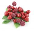 Summer Berries 2